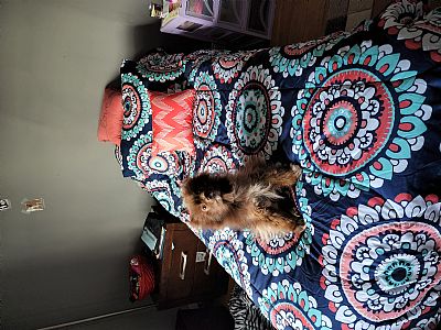 RSM226 profile photo