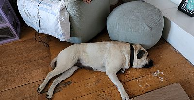 RSM226 profile photo