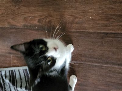 RSM226 profile photo