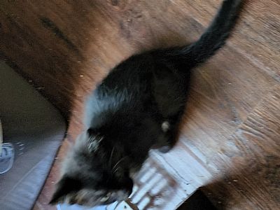 RSM226 profile photo