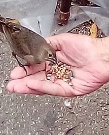 Regionrat profile photo