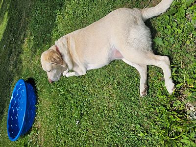 Lindabella profile photo