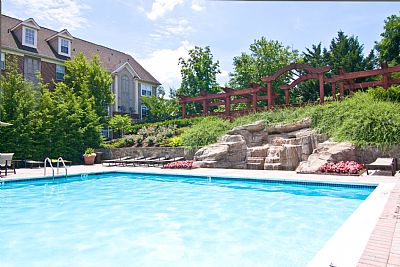 asarap profile photo