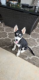 Millsjohnchris profile photo