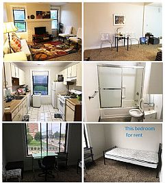 pingPS profile photo