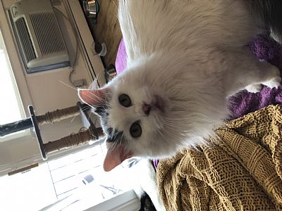 Lori_N profile photo