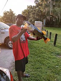 Junior83 profile photo