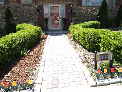 LadyZelda profile photo