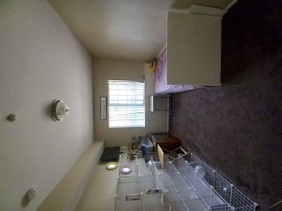 Francisco777pc profile photo