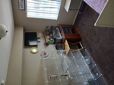 Francisco777pc profile photo