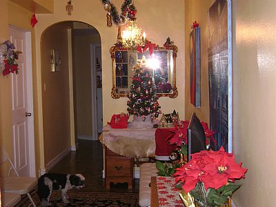 Cruela1! profile photo