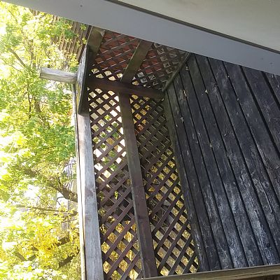 Endoism profile photo