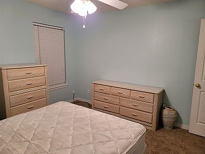 Horses44 profile photo