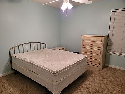 Horses44 profile photo