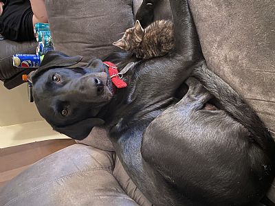 HazyWaves profile photo