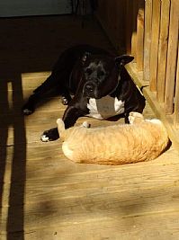 Hpyinlife profile photo