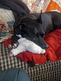 Hpyinlife profile photo