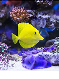 nooshinshaker94 profile photo