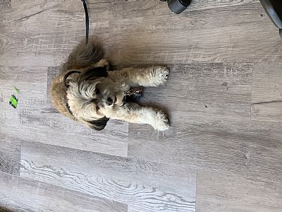 VegasJonny profile photo