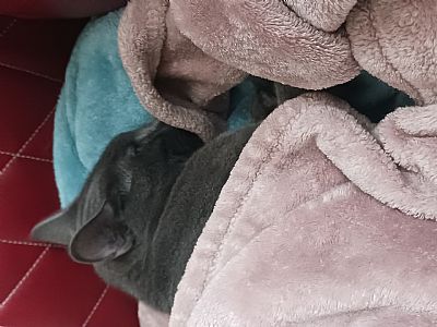 Lindquista21 profile photo