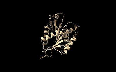 Zhifang profile photo