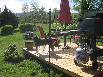 Pidege1 profile photo