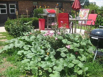 Pidege1 profile photo