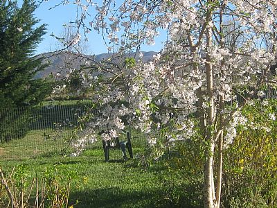 Pidege1 profile photo