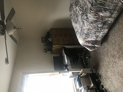 Chavez.Jr profile photo