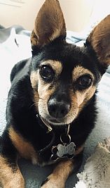 Meesha522 profile photo