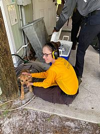 Cleverfox1 profile photo