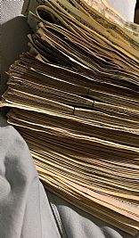 Rayrackz profile photo