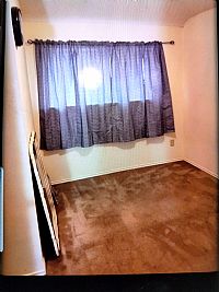 Kgregg profile photo