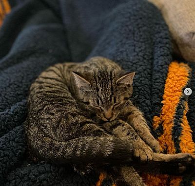 CharlesDriver04 profile photo