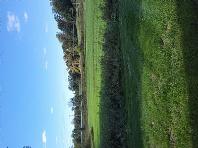 Spiderman2470 profile photo