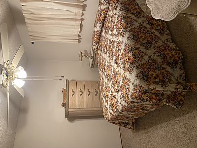 alitsey profile photo