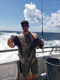 dbeare profile photo