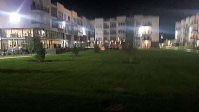 Scottreed profile photo