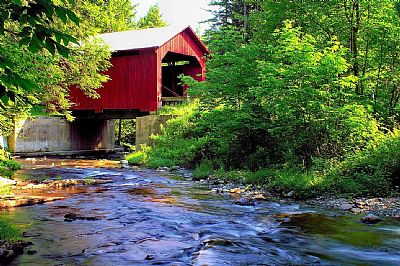 shirelady profile photo