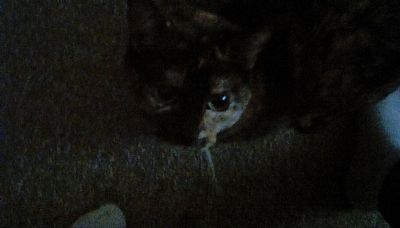 angelaw12774 profile photo