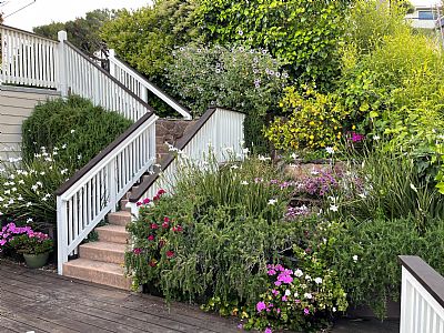 Rafael55 profile photo