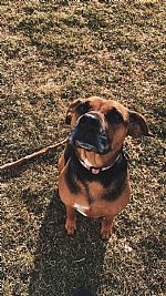 thudso01 profile photo