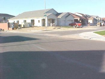 medler profile photo