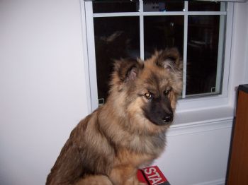 IntenseMD profile photo