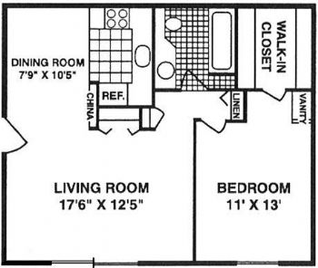 alielle profile photo