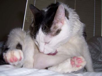 kimberloo profile photo