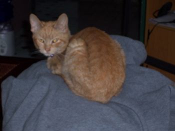 NYGirl profile photo