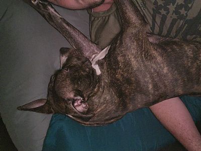 Gibbshun profile photo