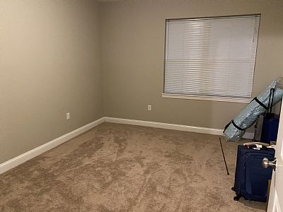 Molleelangelier profile photo