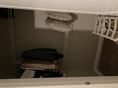 Molleelangelier profile photo